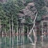 一歩一景（30）