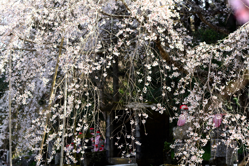 かわらぬ祈り