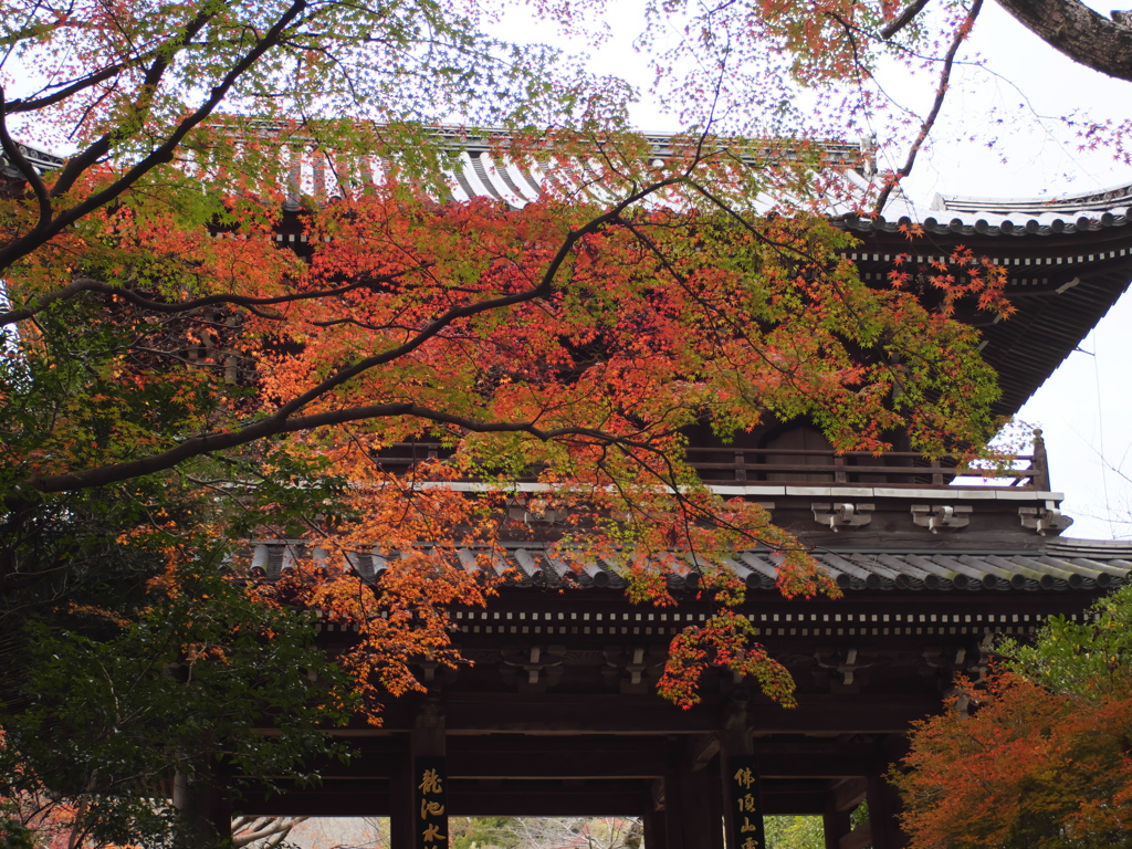 晩秋の功山寺