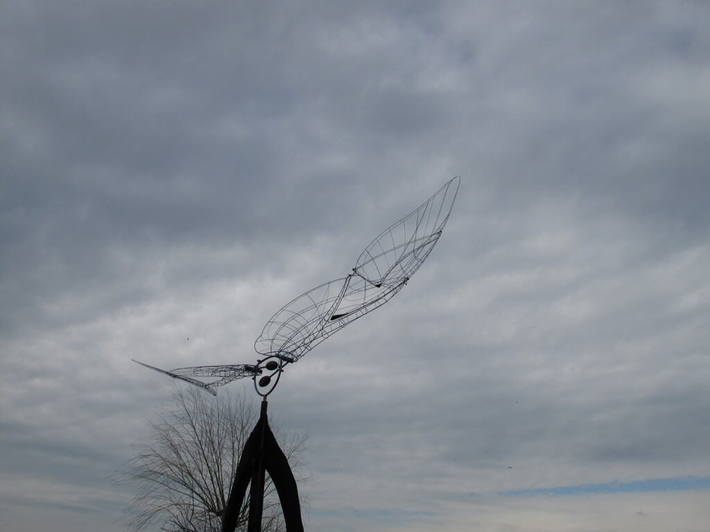 冬空を飛びたい