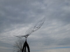 冬空を飛びたい