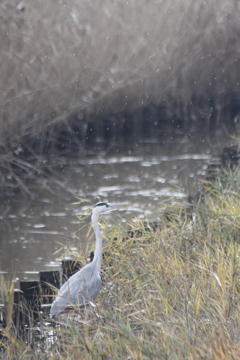 一歩一景（20）