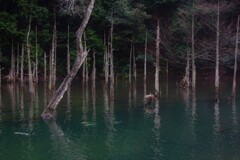 一歩一景（31）