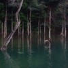 一歩一景（31）