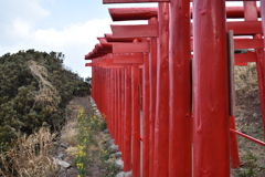 鳥居の脇で