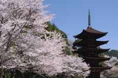 春空