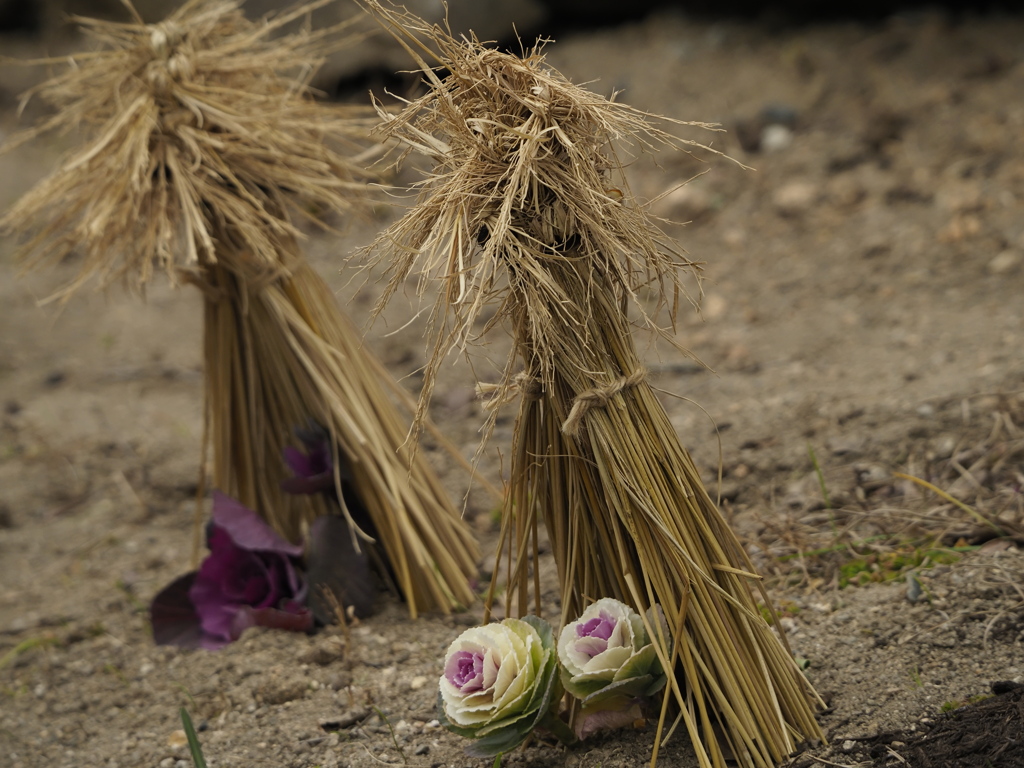ちっちゃな藁ぼっちに守られて