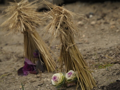 ちっちゃな藁ぼっちに守られて