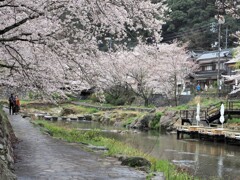 音信川（おとずれがわ）の川辺で