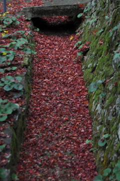 一歩一景（７）