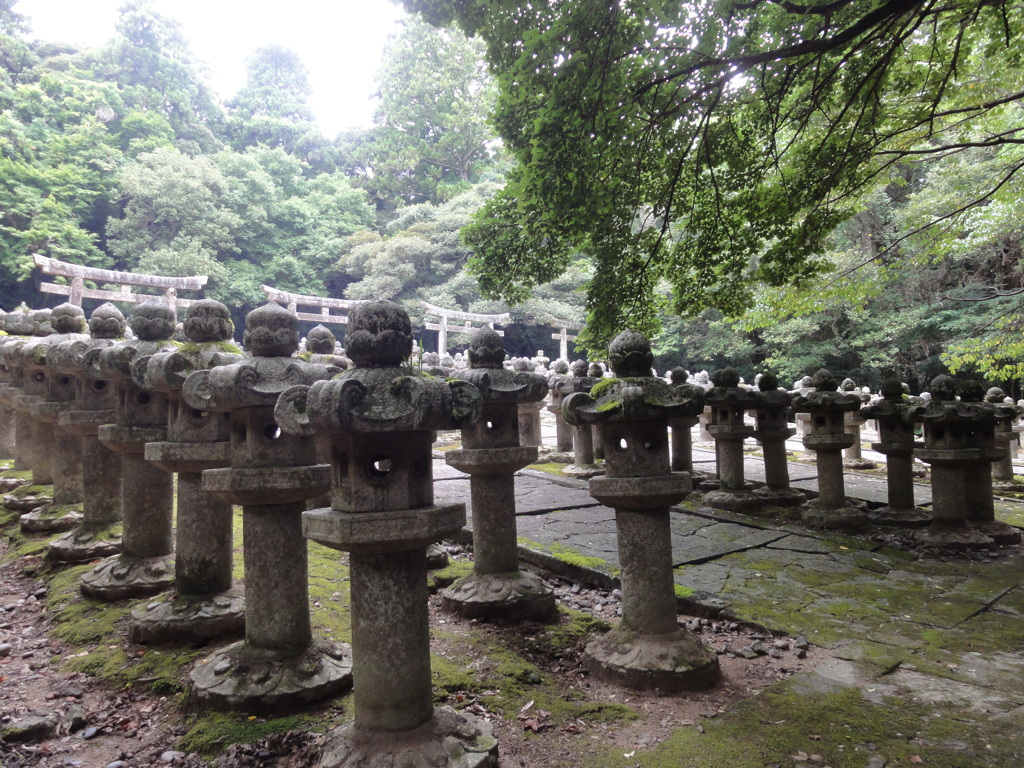 晩夏の大照院（1）