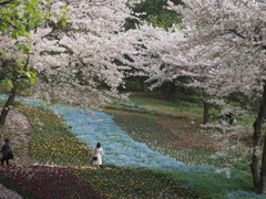 春の丘から