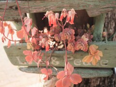 Love＆Peaceってなんだろう