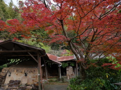 窯場秋景