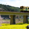 春紀行（きらめき号）