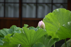 佇まい