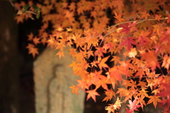 紅葉の向こうで祈る