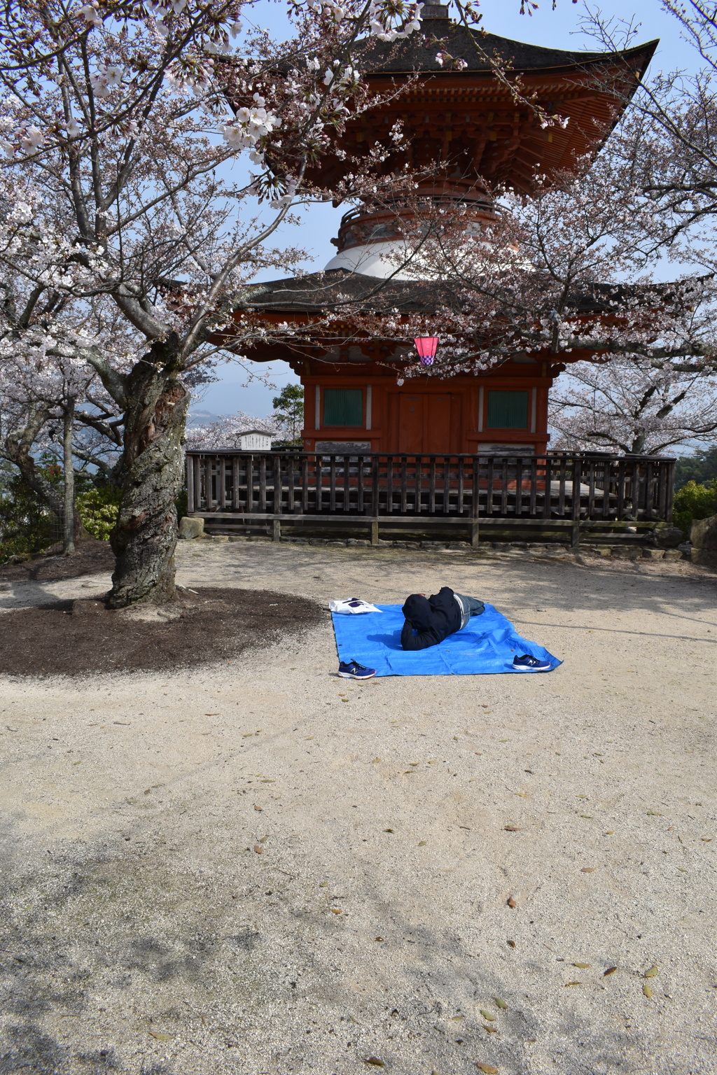 早くこないかな