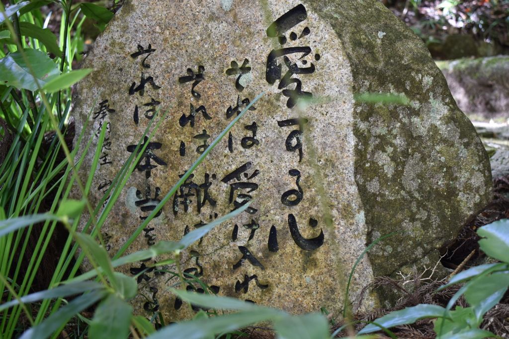 そうなんだろうな~