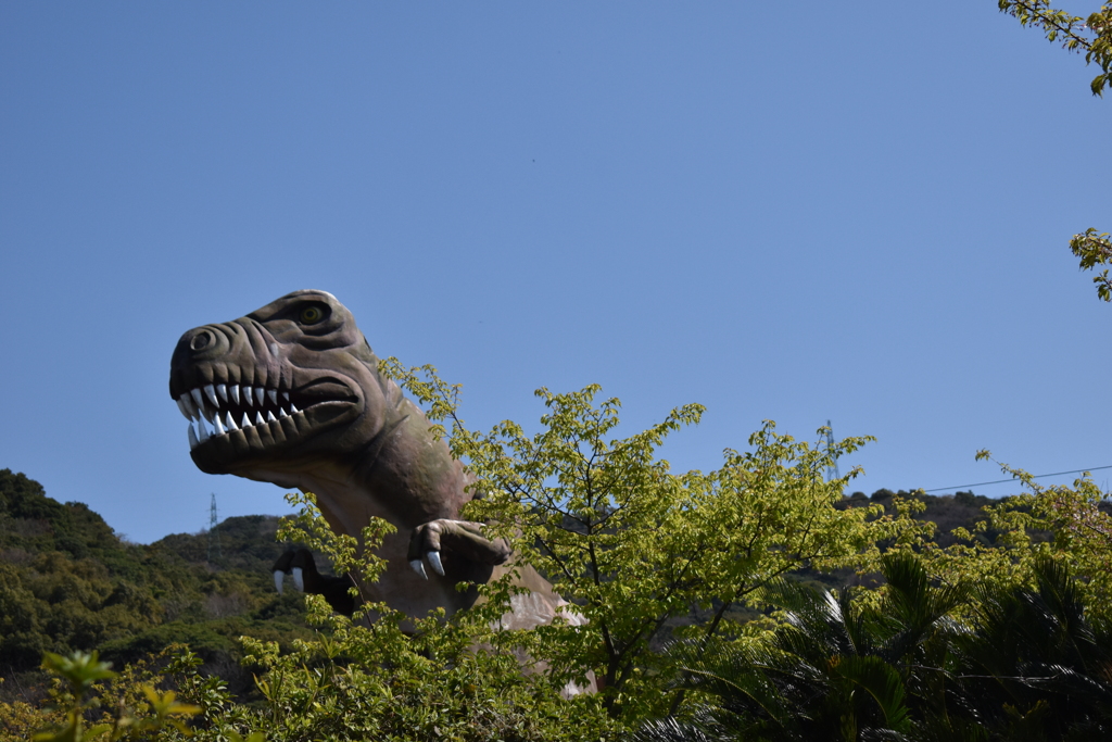 こんなんでましたけど