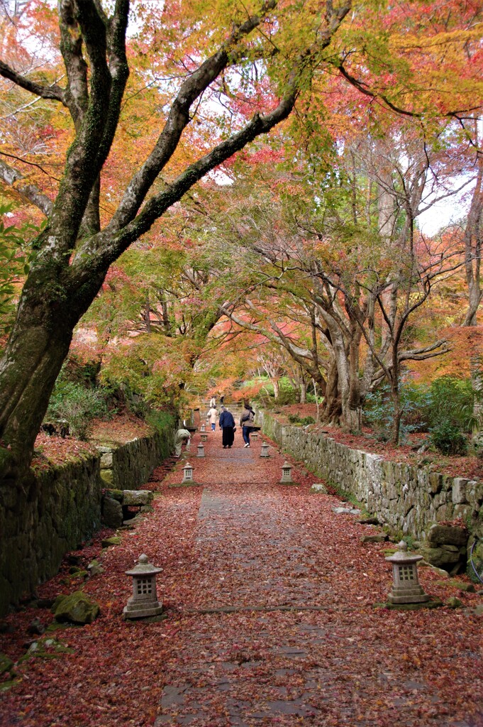 紅葉参道