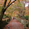 紅葉参道