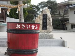 一杯入りそうだ