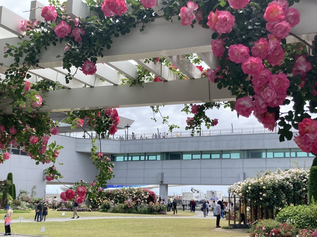 薔薇のある空港で