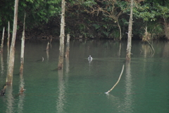 一歩一景（33）