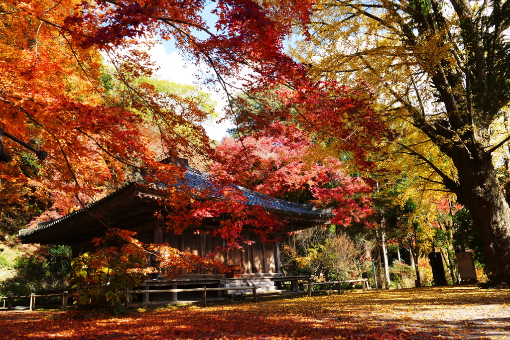 晩秋の富貴寺大堂（2）