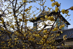 一歩一景（40）