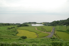 いつか見た風景