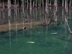 一歩一景（32）