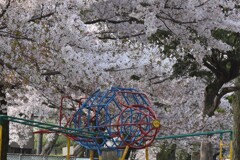 桜の空へ