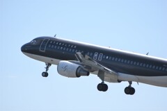 初飛行機撮り（スターフライヤー）