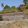 瓶垣のある風景（硫酸瓶）