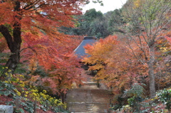 山門を望む