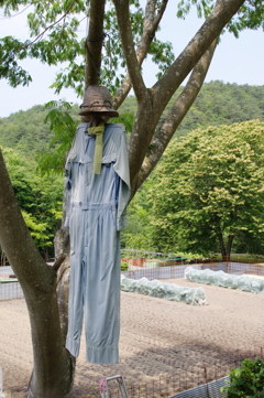 桃源郷から