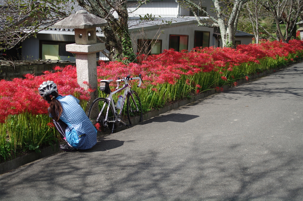 自転車を置いて