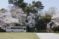 来年はみんなで一緒に