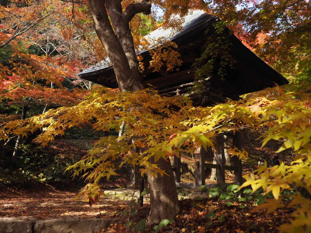 山門の彩どり2025