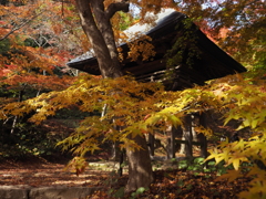 山門の彩どり2025