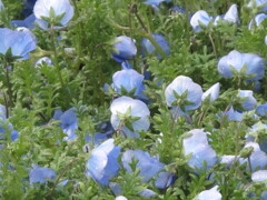 うしろすがたも