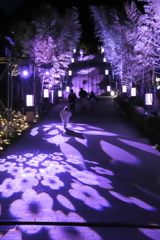 うたあかり2025