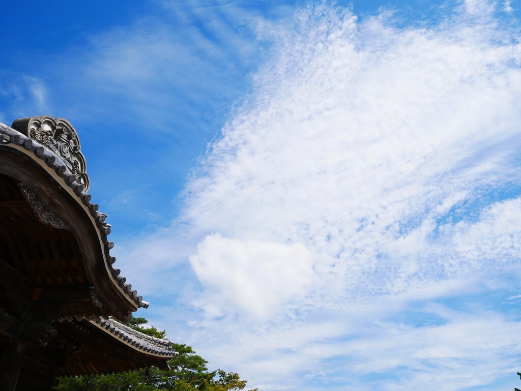 秋を感じさせてくれる空と