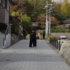 睦まじく