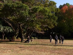 大きな木の下で