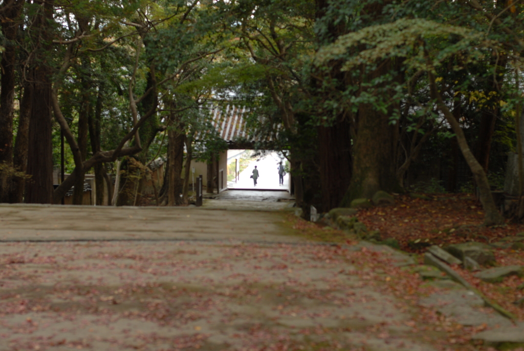 夢の跡