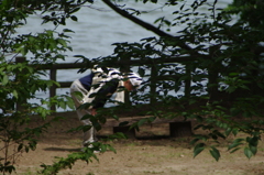 少し疲れたかな