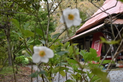 茶屋の風景